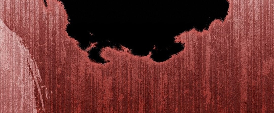[18+] Khúc Nhạc Của Cầm Thú Chapter 13.2 - Trang 2