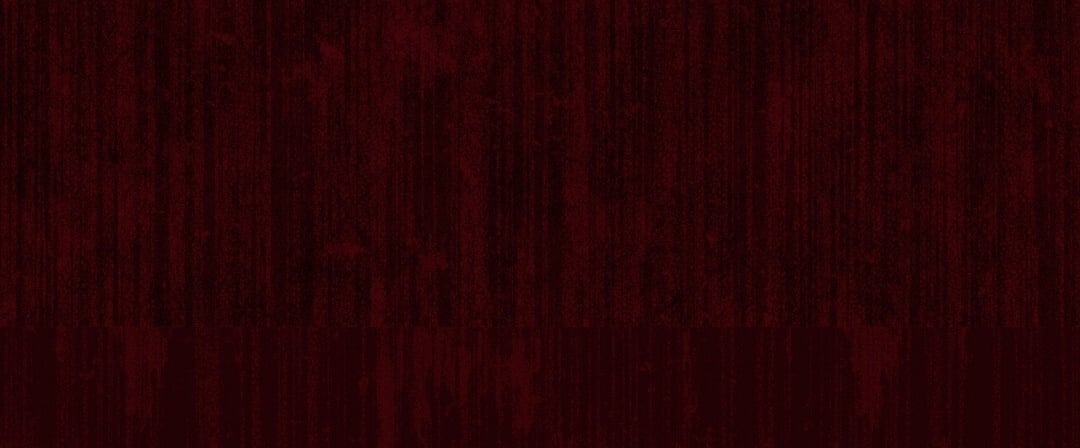 [18+] Khúc Nhạc Của Cầm Thú Chapter 13.2 - Trang 2